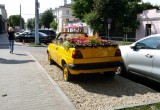 В Бресте старенький жёлтый автомобиль превратился в красочную цветочную клумбу